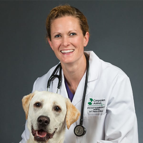 Crystal Lake Veterinarian