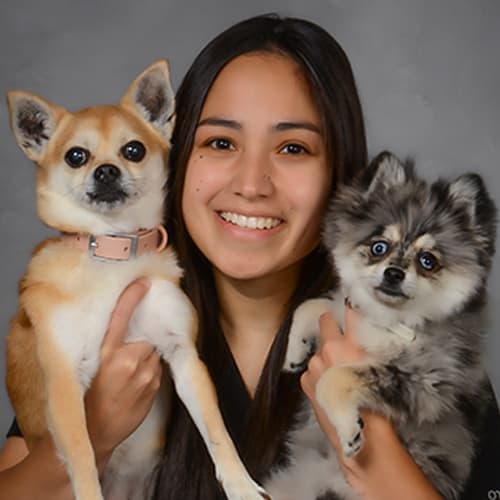 Dr. Amber Illescas, Crystal Lake Veterinarian