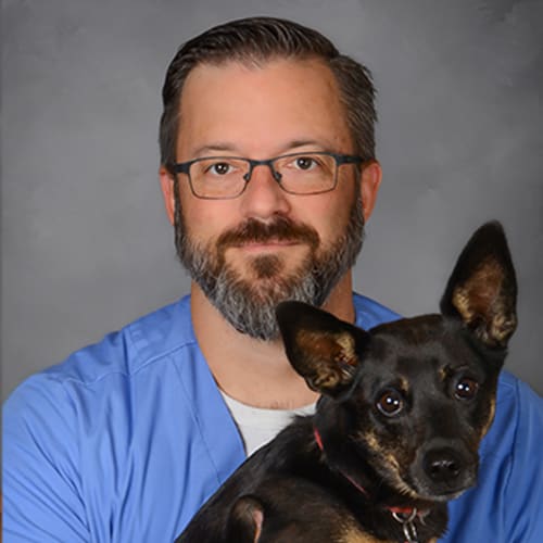 Dr. Kerry Lovell, Crystal Lake Veterinarian