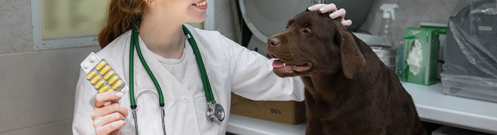 Internal medicine vet near sales me